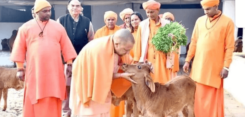 CM YOGI File Picture