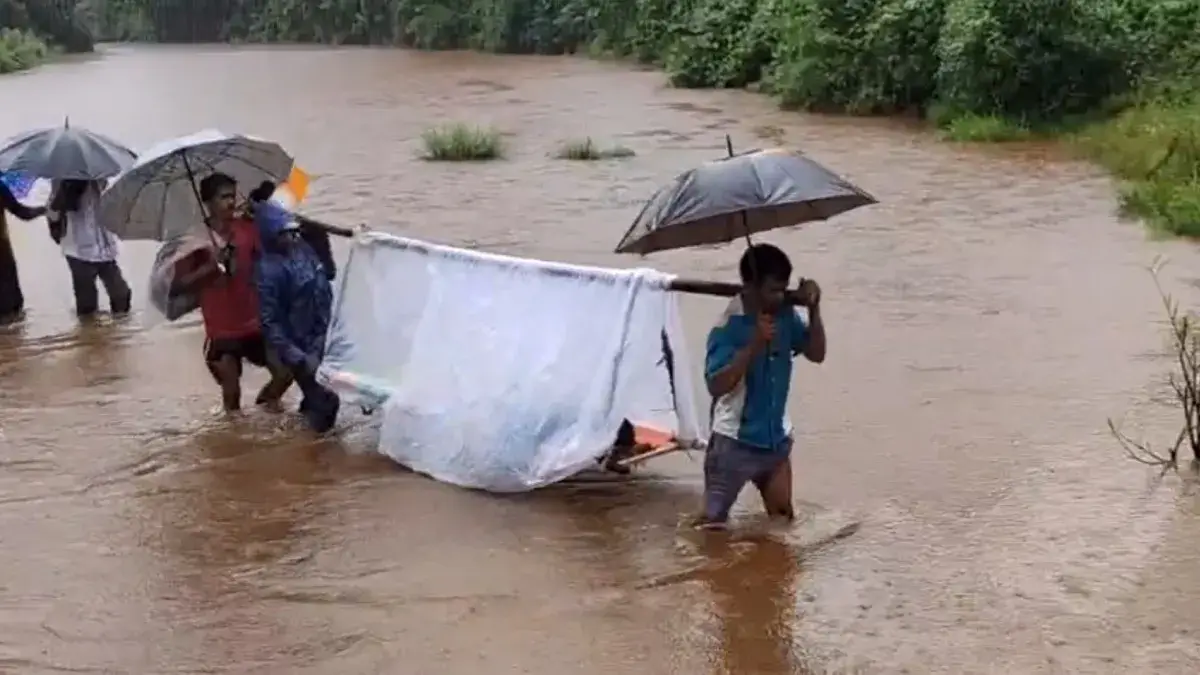 जंगल में भालू ने किया हमला, आधी रात मदद के लिए पहुंची मेडिकल टीम, 18 किमी तक स्ट्रेचर पर ढोया और बचा ली जान